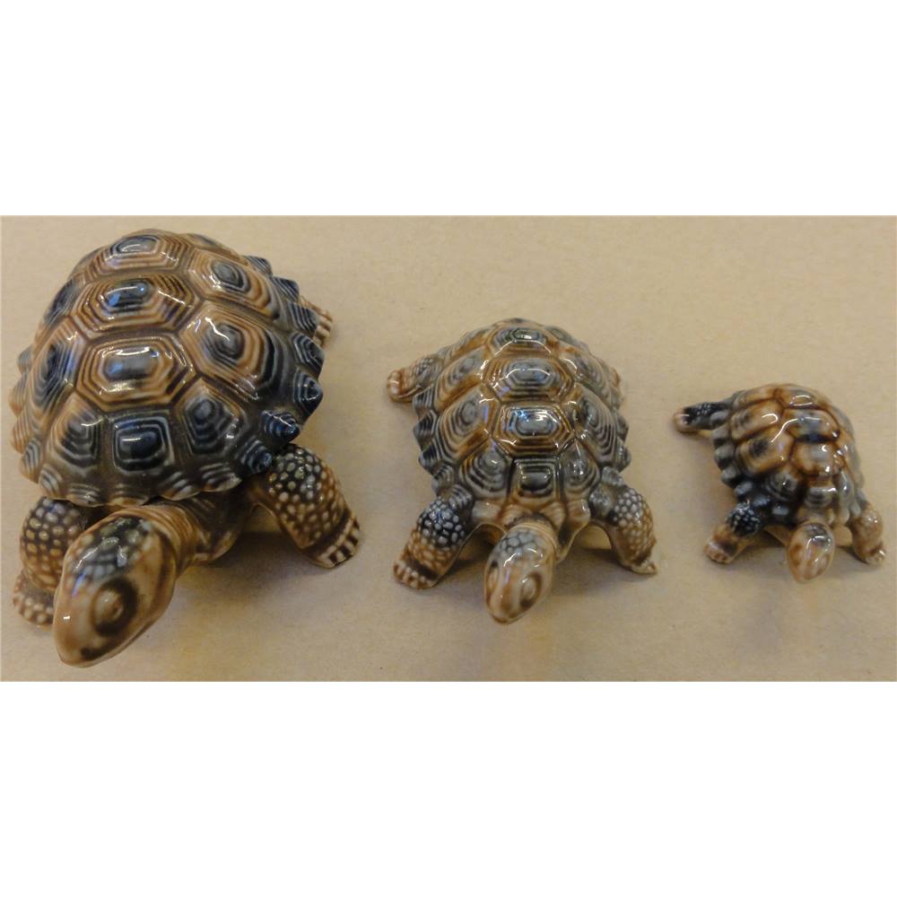 Wade Porcelain Tortoise set of 3 | Oxfam GB | Oxfam’s Online Shop