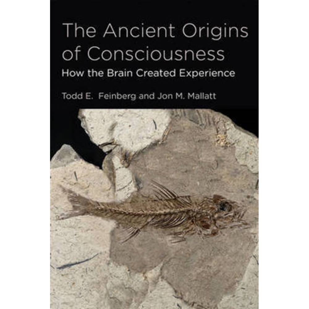 the origins of consciousness erich neumann