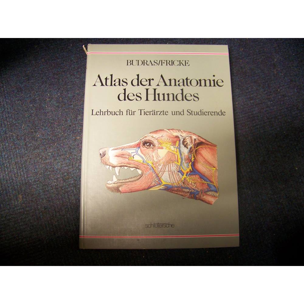 Atlas Der Anatomie Des Hundes Lehrbuch Für Tierärzte Und Studierende ...