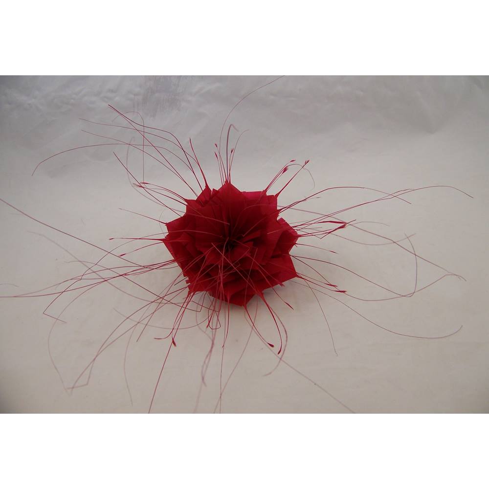 A red fascinator.