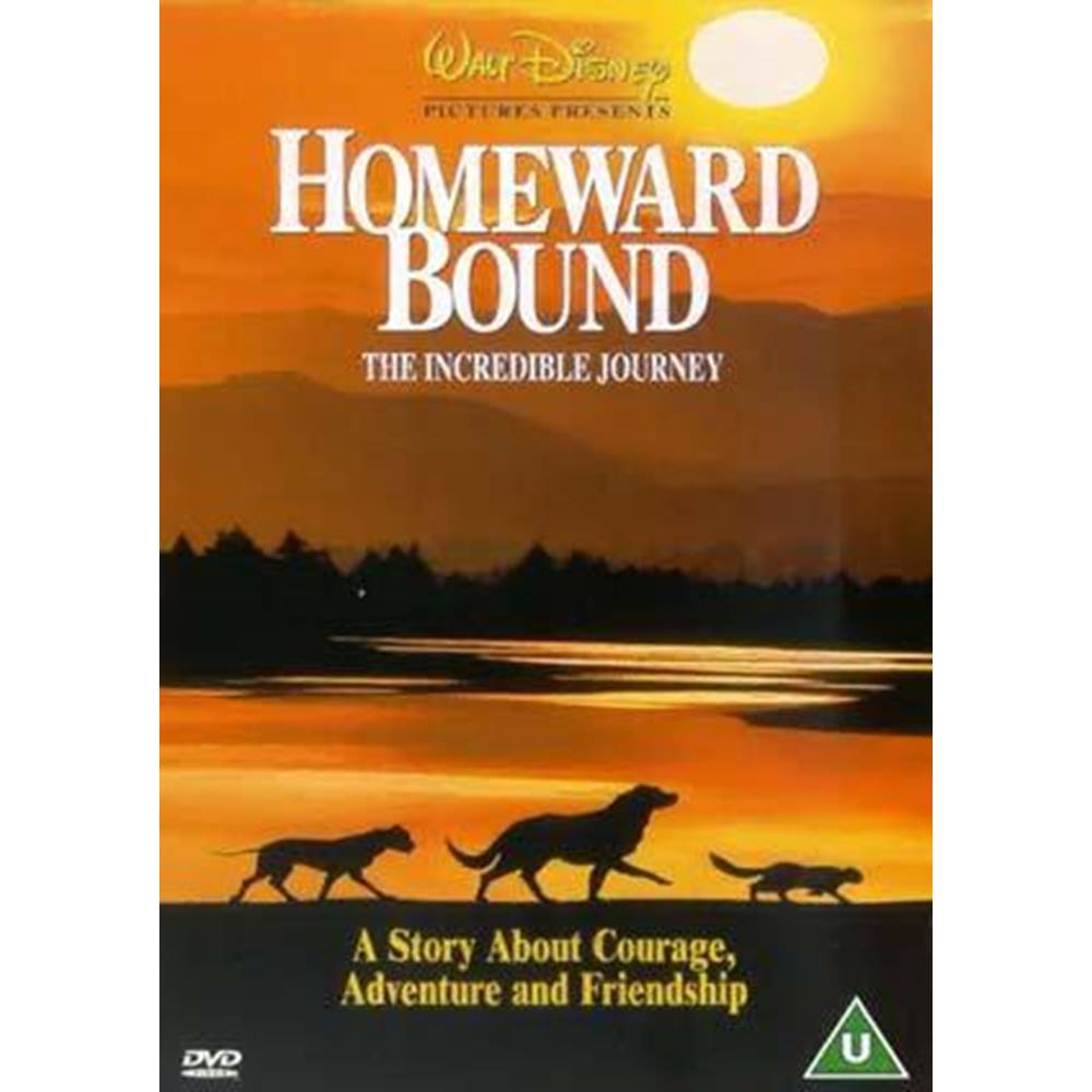 Homeward перевод на русский. Homeward bound: the incredible Journey. Homeward bound. Homeward bound: the incredible Journey 1993 poster. Homeward Path.