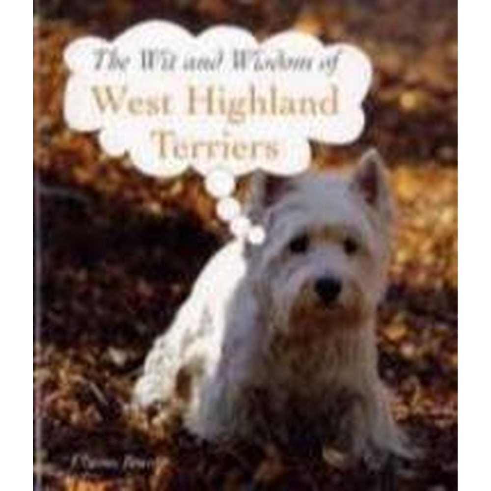 West Highland Terriers Local Classifieds For Sale Preloved