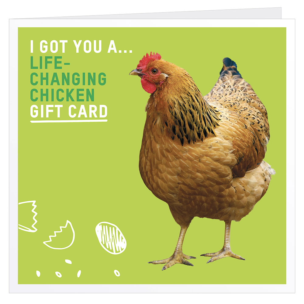 life-changing chicken | oxfam gb | oxfam's online shop